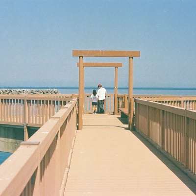 Days in Film #72