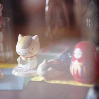 ローボードに陽が差し込む時間