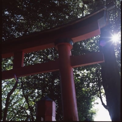 元日の光り