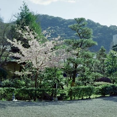 写真趣味