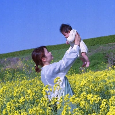 菜の花といえば