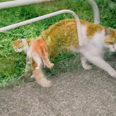 多重②