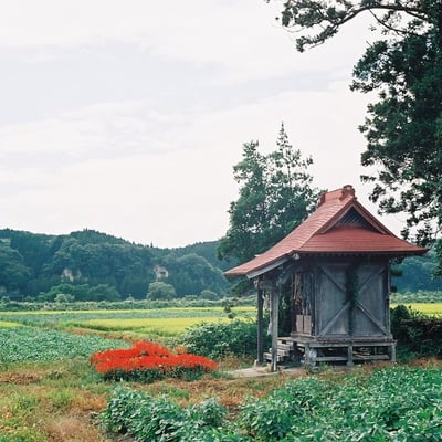 荒脛巾神社