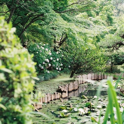 夏の入り口