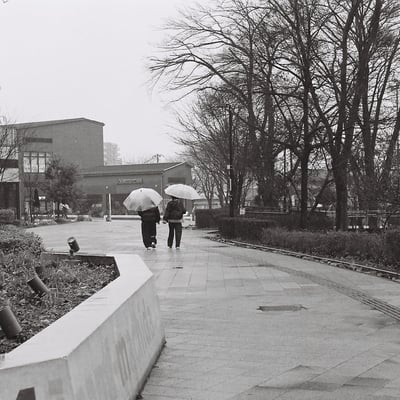 雨天