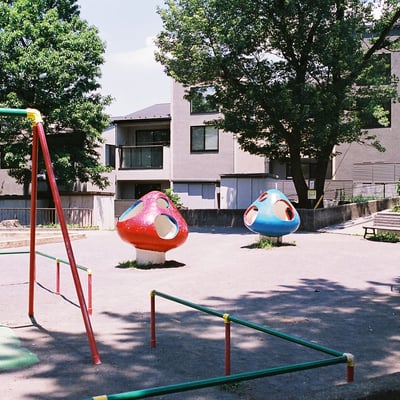 きのこ公園