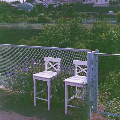 カップル
