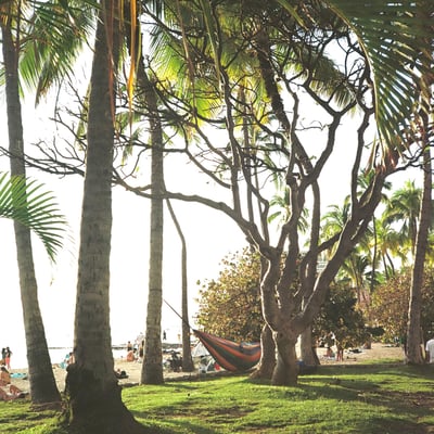 a hammock 