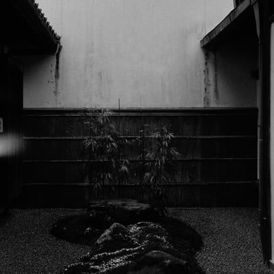 感光してしまった