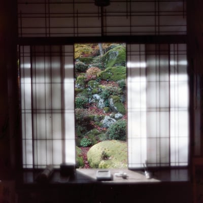 夢映画