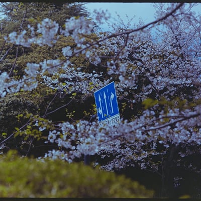 千鳥ヶ淵交差点