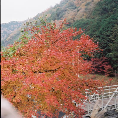 保津峡