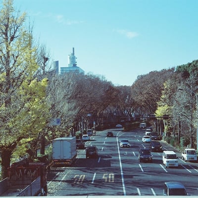 五輪歩道橋から望む代々木公園通り