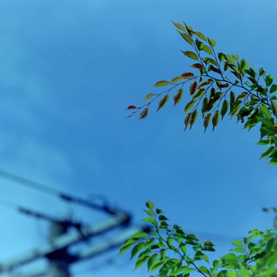五月の空