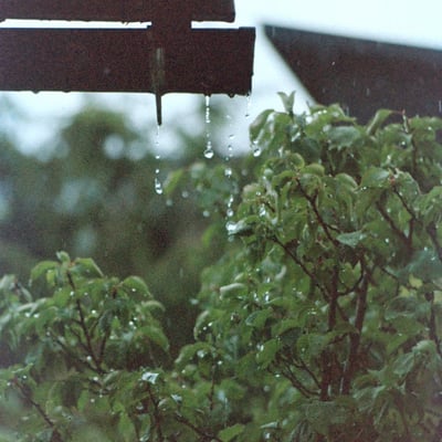 雨垂れ