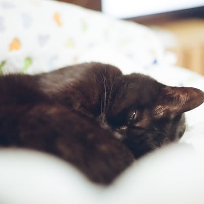 眩しかとよ
