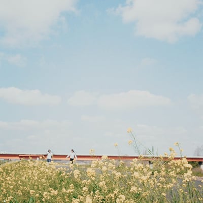 春風が吹く土手