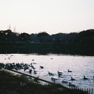 池