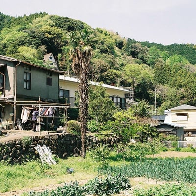 入生田