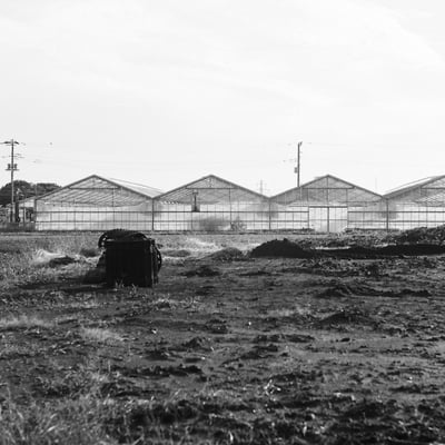 平塚