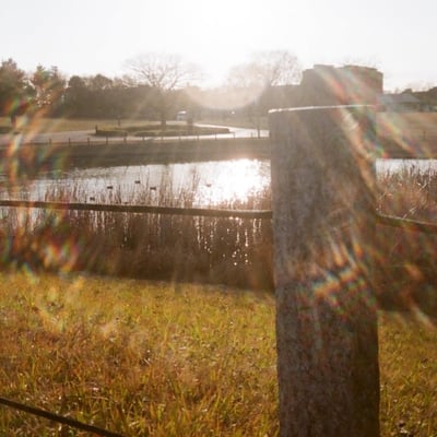 武蔵野の森公園
