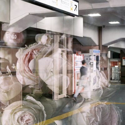 薔薇と駅
