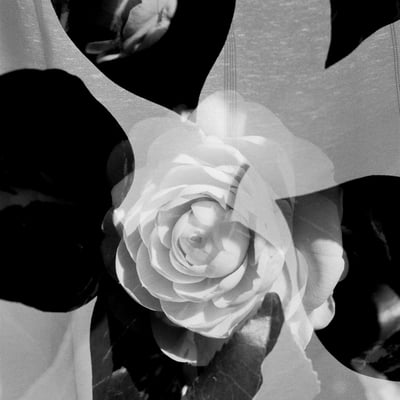 multiple exposure