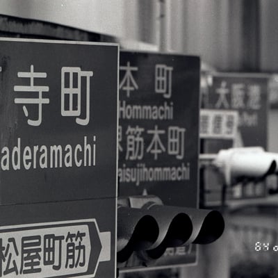 青看群
