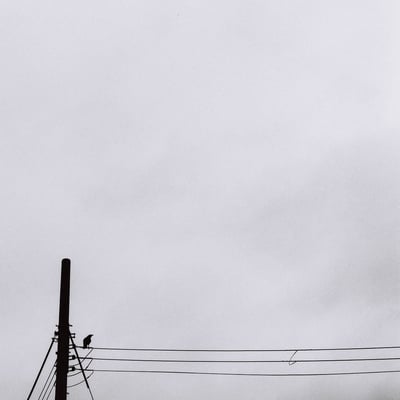 沈思黙考