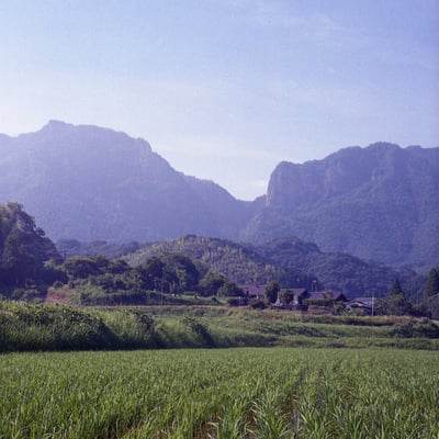 夏の行縢（むかばき）山