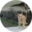 yamaneko_filmのプロフィール画像