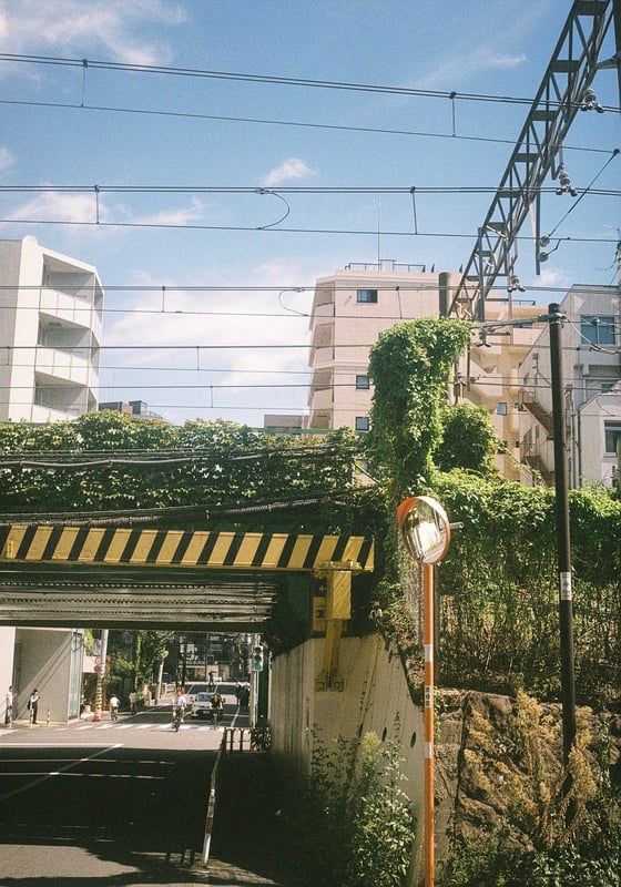 フィルムさんぽの途中で見つけた高架下
青空と緑が、夏って感じがする