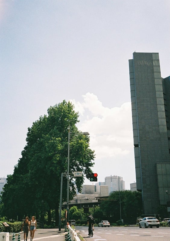 今年の夏の半蔵門。
この日は本当に暑かった。

秋🍂の涼しさが待ち遠しい。