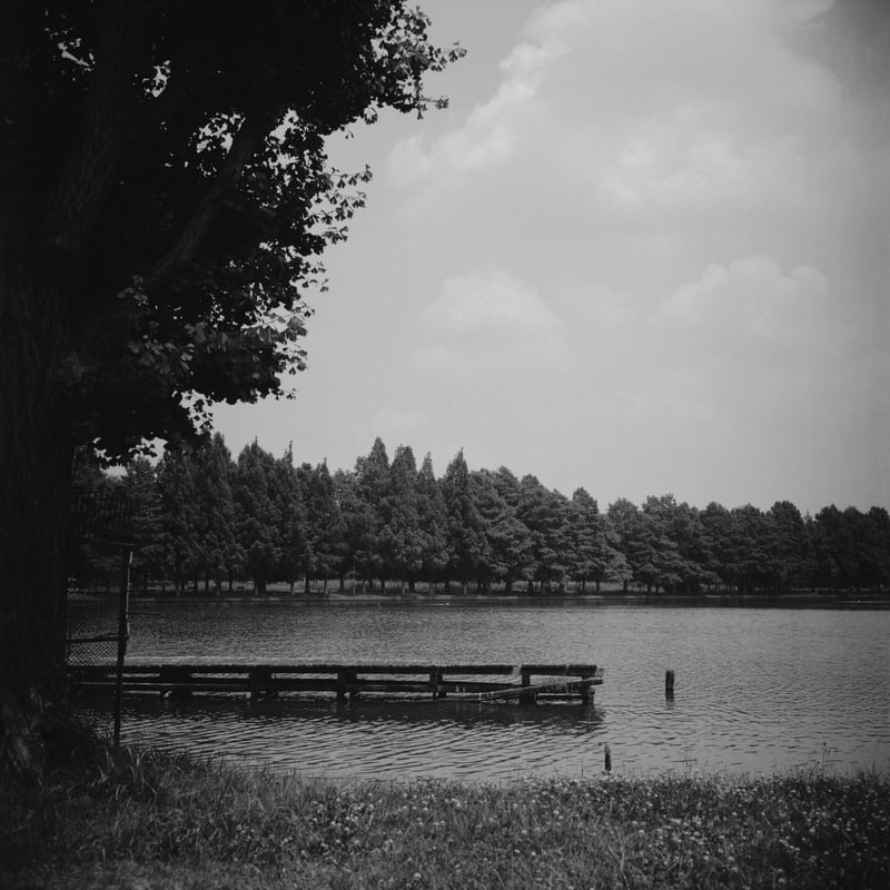 真夏の水元公園。
とにかく暑かった。