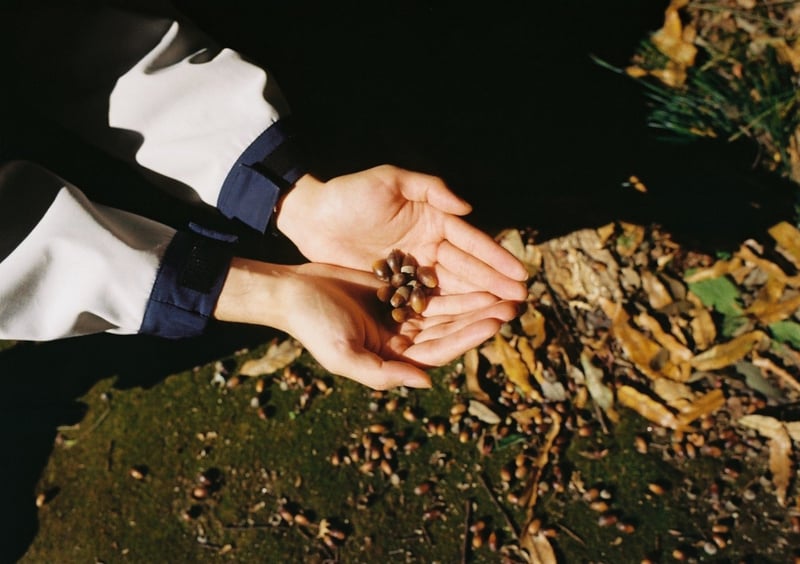 去年の秋に行ったこどもの国のどんぐり
今年の秋はいろいろいきたいな〜🍂