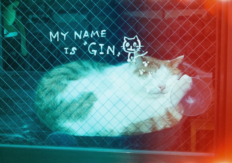 MY NAME IS "GIN"