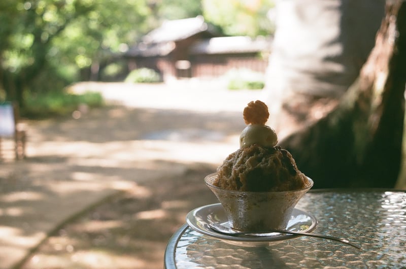 毎年のように食べに行っている「お醤油」ベースのかき氷。甘じょっぱくて、美味しいです。
おせんべいが乗ってるよ。

NikonF/FUJIFILM X-TRA400