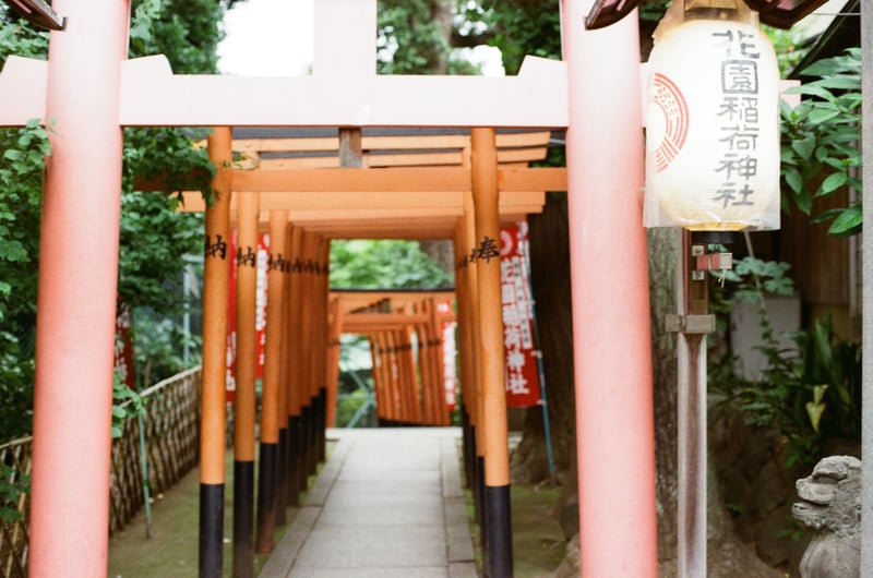 静かな神社
別世界の雰囲気