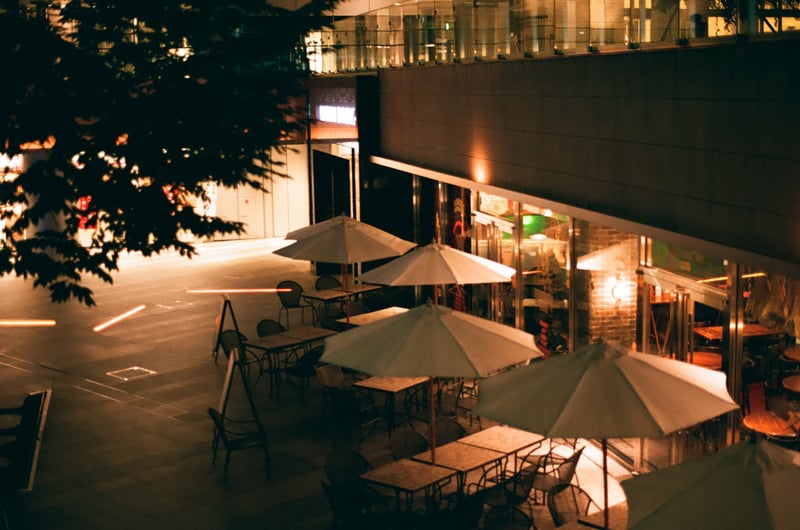 夜の光