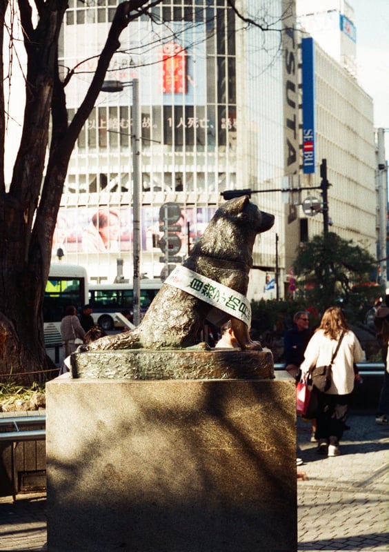 渋谷といえば