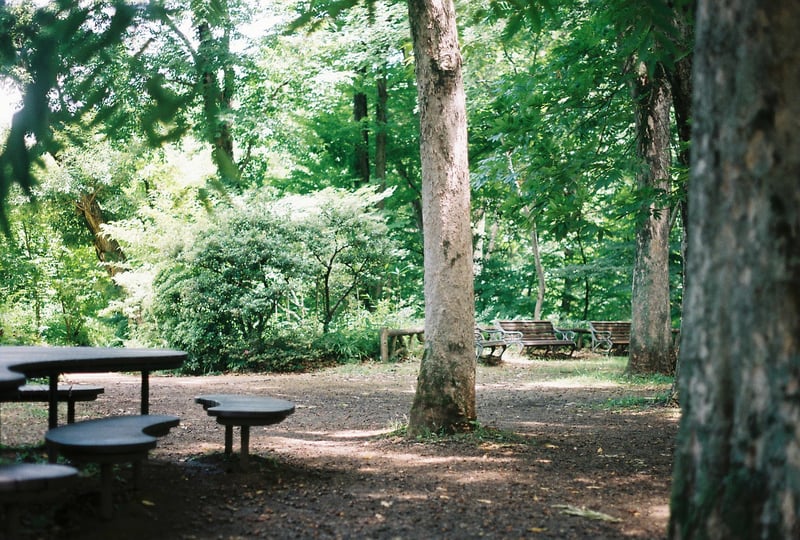 神代植物園