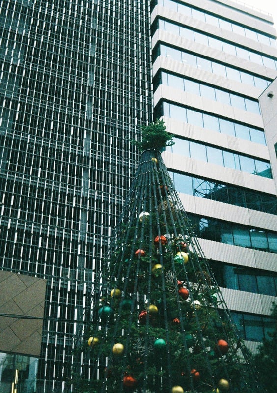 渋谷から原宿を街スナップしてたらでっかいクリスマスツリー現る