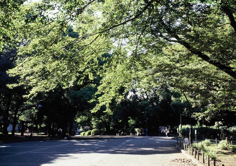 長月の上野公園