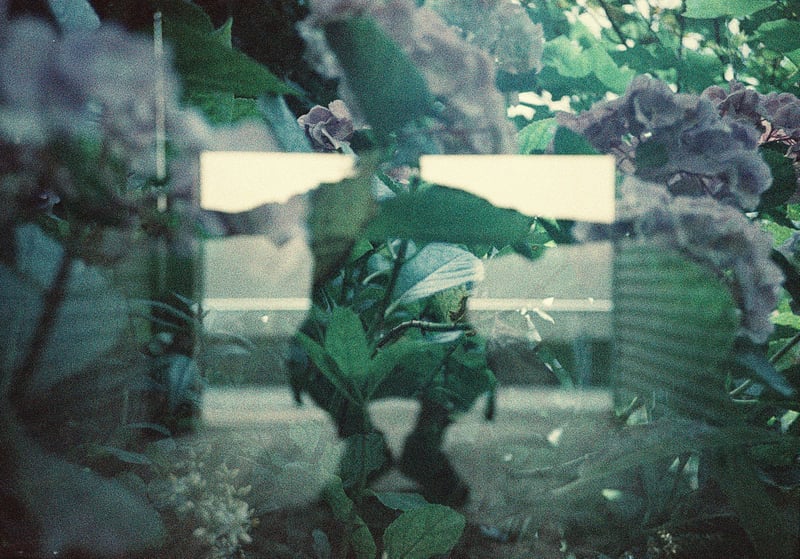 多重露光 - multiple exposure