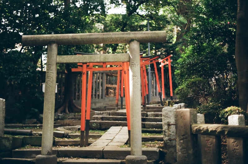 またまたジャンクワゴンのカメラをお持ち帰りしてしまいました(懺悔)
初めて使うカメラの試写の時はだいたい根津神社へ訪れがち。あっというまにフィルム1本使っちゃうね…