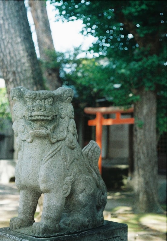 初夏と狛犬