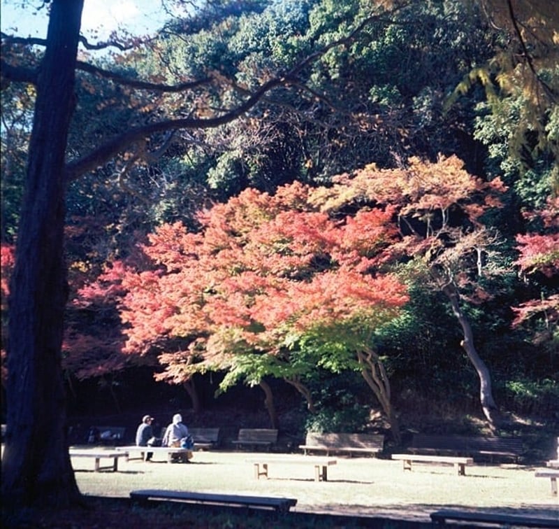 珍しく人の写った写真
もう少し切り取れても良かったのかもしれない