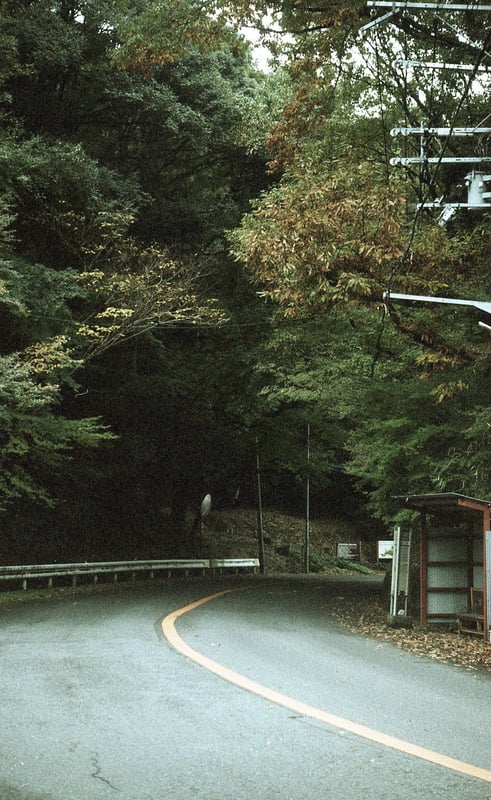 乗車中にバスからの眺めがよくて思わず途中下車しました