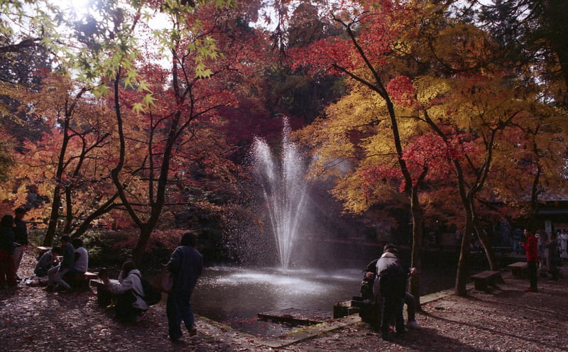 新潟県 加茂市 加茂山公園

2015年で期限切れの業務用100を使いました。

