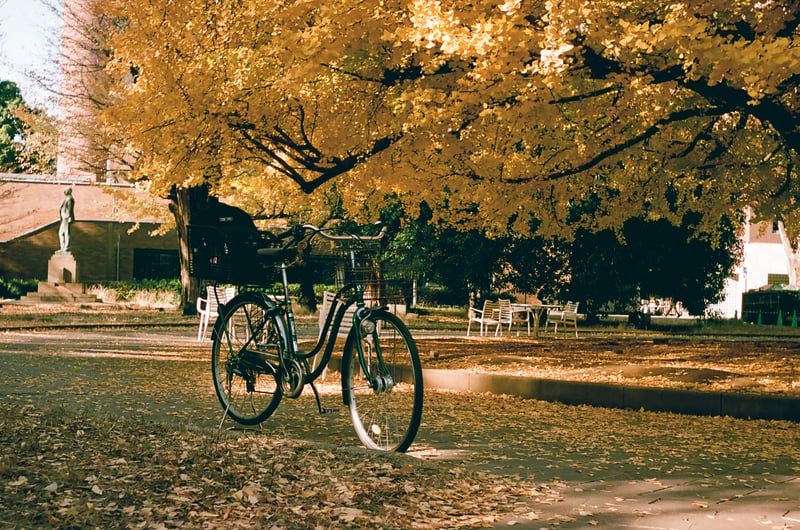 Kiev-2a
CZJ Tessar
Kodak Aerocolor